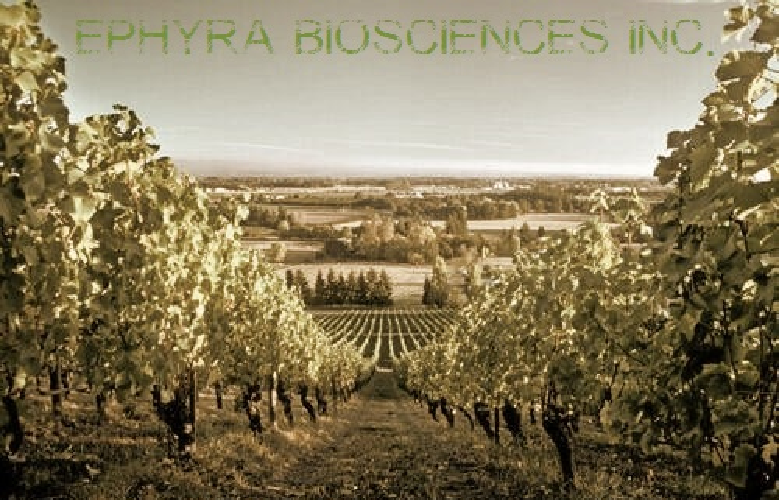 Ephyra biosciences Inc